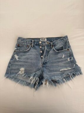 Agolde Parker Vintage Cutoff Shorts in Swapmeet